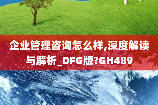 企业管理咨询怎么样,深度解读与解析_DFG版?GH489