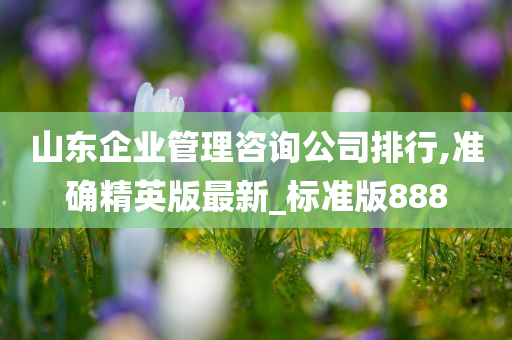 山东企业管理咨询公司排行,准确精英版最新_标准版888