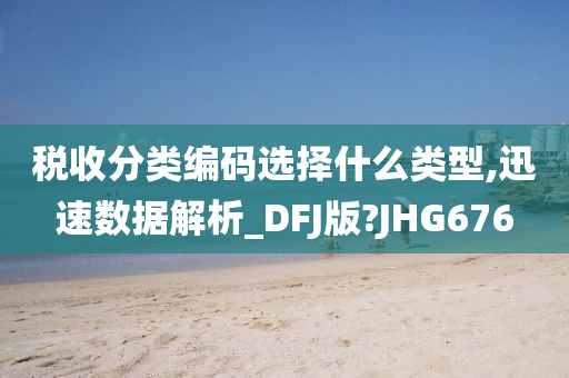 税收分类编码选择什么类型,迅速数据解析_DFJ版?JHG676