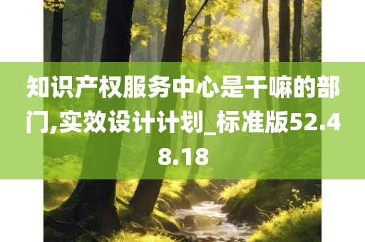 知识产权服务中心是干嘛的部门,实效设计计划_标准版52.48.18