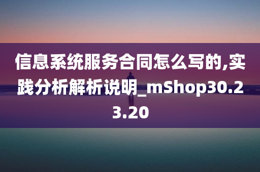 信息系统服务合同怎么写的,实践分析解析说明_mShop30.23.20