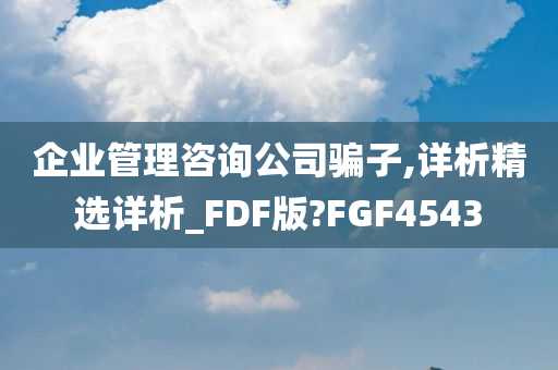 企业管理咨询公司骗子,详析精选详析_FDF版?FGF4543