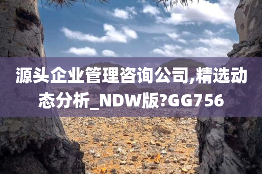 源头企业管理咨询公司,精选动态分析_NDW版?GG756