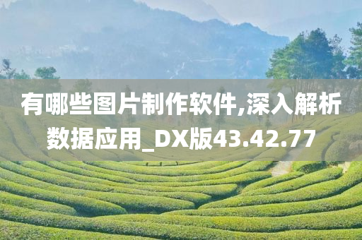 有哪些图片制作软件,深入解析数据应用_DX版43.42.77