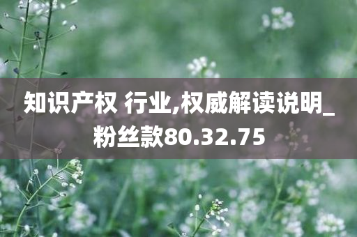 知识产权 行业,权威解读说明_粉丝款80.32.75