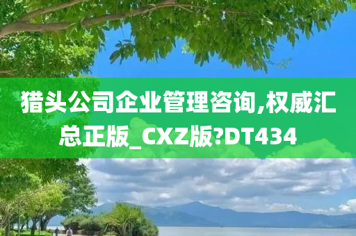 猎头公司企业管理咨询,权威汇总正版_CXZ版?DT434