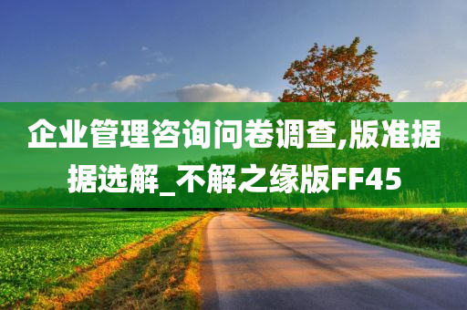 企业管理咨询问卷调查,版准据据选解_不解之缘版FF45