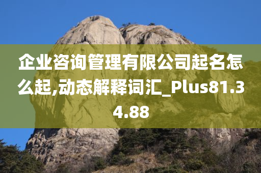 企业咨询管理有限公司起名怎么起,动态解释词汇_Plus81.34.88