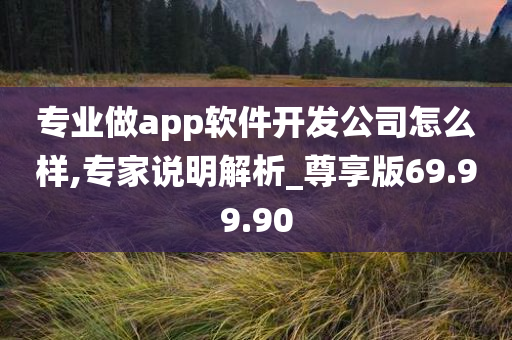 专业做app软件开发公司怎么样,专家说明解析_尊享版69.99.90