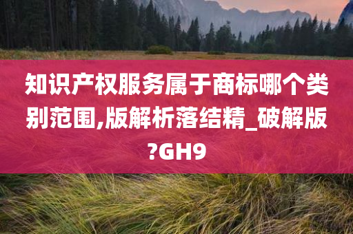 知识产权服务属于商标哪个类别范围,版解析落结精_破解版?GH9