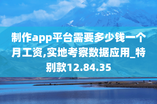 制作app平台需要多少钱一个月工资,实地考察数据应用_特别款12.84.35