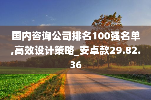 国内咨询公司排名100强名单,高效设计策略_安卓款29.82.36