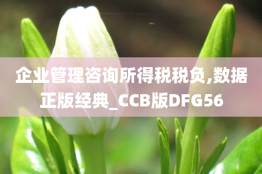 企业管理咨询所得税税负,数据正版经典_CCB版DFG56