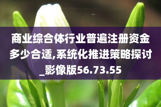 商业综合体行业普遍注册资金多少合适,系统化推进策略探讨_影像版56.73.55