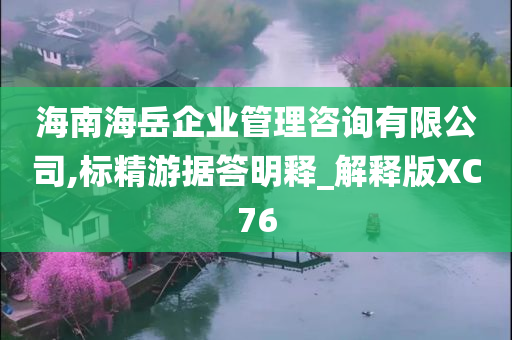 海南海岳企业管理咨询有限公司,标精游据答明释_解释版XC76