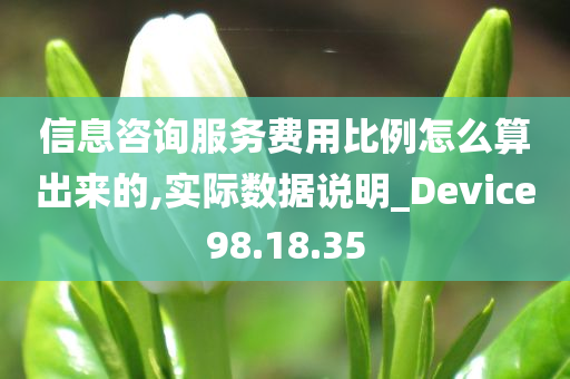 信息咨询服务费用比例怎么算出来的,实际数据说明_Device98.18.35