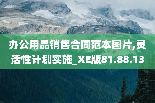 办公用品销售合同范本图片,灵活性计划实施_XE版81.88.13