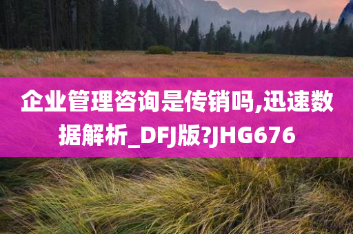 企业管理咨询是传销吗,迅速数据解析_DFJ版?JHG676