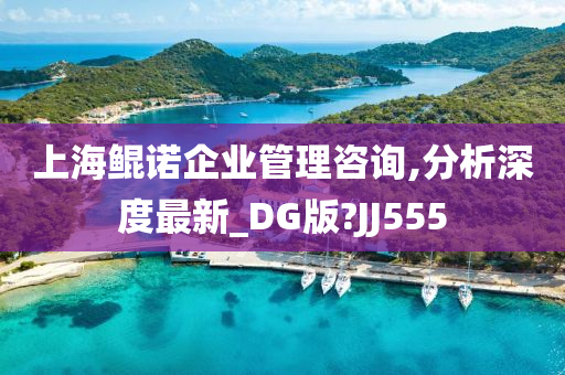 上海鲲诺企业管理咨询,分析深度最新_DG版?JJ555