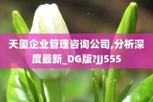 天玺企业管理咨询公司,分析深度最新_DG版?JJ555