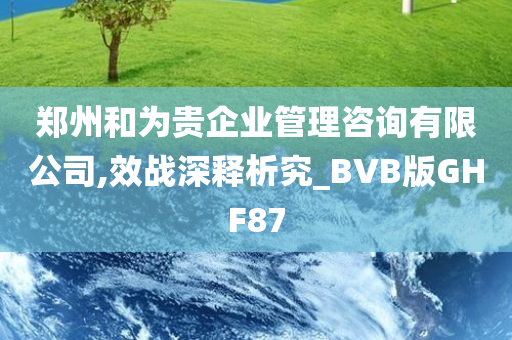 郑州和为贵企业管理咨询有限公司,效战深释析究_BVB版GHF87