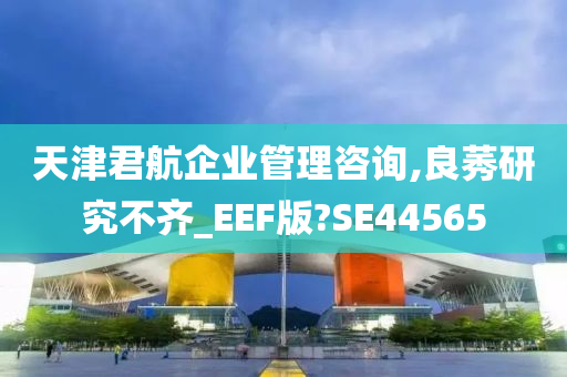 天津君航企业管理咨询,良莠研究不齐_EEF版?SE44565