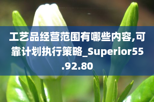 工艺品经营范围有哪些内容,可靠计划执行策略_Superior55.92.80