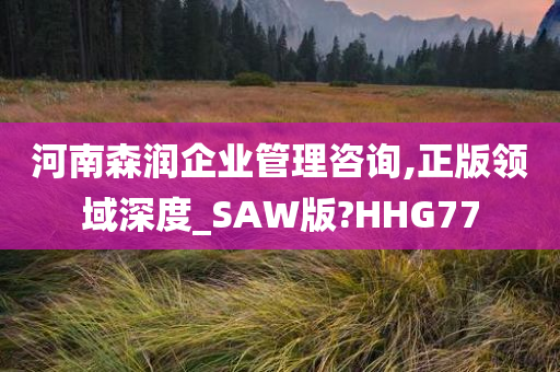 河南森润企业管理咨询,正版领域深度_SAW版?HHG77