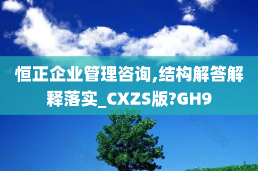 恒正企业管理咨询,结构解答解释落实_CXZS版?GH9