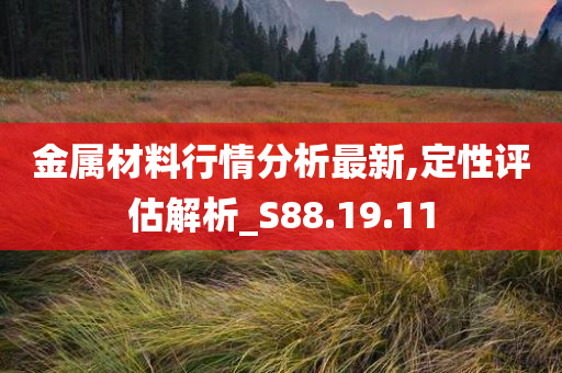 金属材料行情分析最新,定性评估解析_S88.19.11