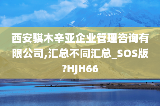 西安骐木辛亚企业管理咨询有限公司,汇总不同汇总_SOS版?HJH66