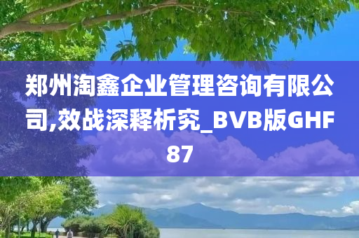 郑州淘鑫企业管理咨询有限公司,效战深释析究_BVB版GHF87