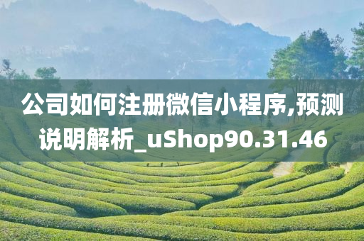 公司如何注册微信小程序,预测说明解析_uShop90.31.46