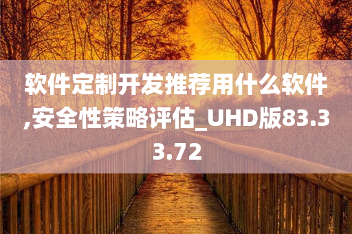 软件定制开发推荐用什么软件,安全性策略评估_UHD版83.33.72