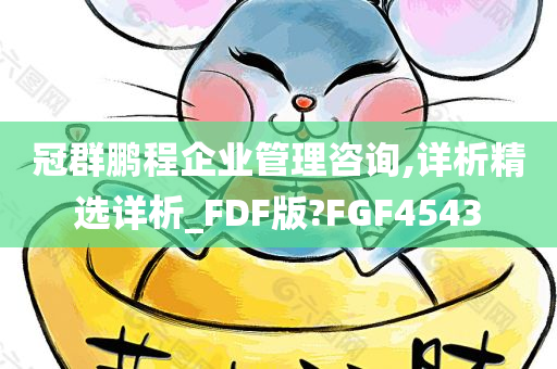 冠群鹏程企业管理咨询,详析精选详析_FDF版?FGF4543