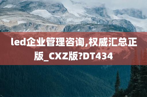 led企业管理咨询,权威汇总正版_CXZ版?DT434