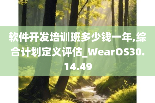 软件开发培训班多少钱一年,综合计划定义评估_WearOS30.14.49