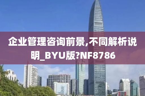 企业管理咨询前景,不同解析说明_BYU版?NF8786