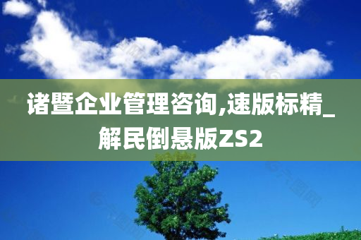 诸暨企业管理咨询,速版标精_解民倒悬版ZS2