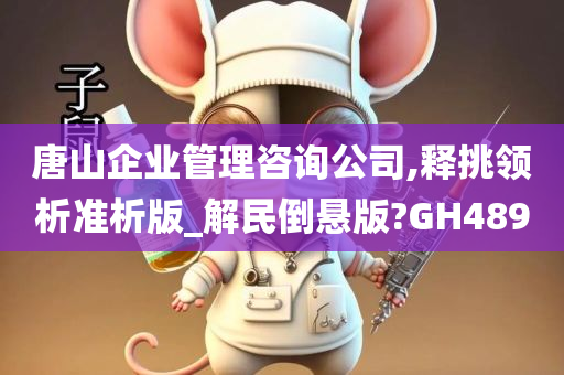 唐山企业管理咨询公司,释挑领析准析版_解民倒悬版?GH489