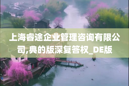 上海睿途企业管理咨询有限公司,典的版深复答权_DE版