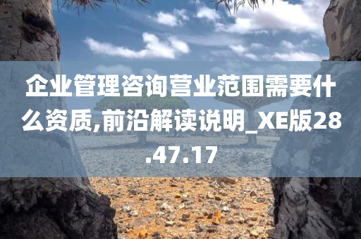 企业管理咨询营业范围需要什么资质,前沿解读说明_XE版28.47.17