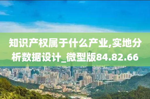 知识产权属于什么产业,实地分析数据设计_微型版84.82.66