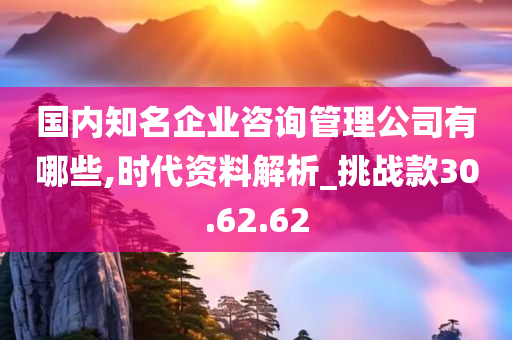 国内知名企业咨询管理公司有哪些,时代资料解析_挑战款30.62.62