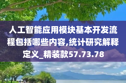 人工智能应用模块基本开发流程包括哪些内容,统计研究解释定义_精装款57.73.78