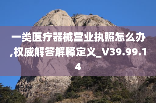 一类医疗器械营业执照怎么办,权威解答解释定义_V39.99.14