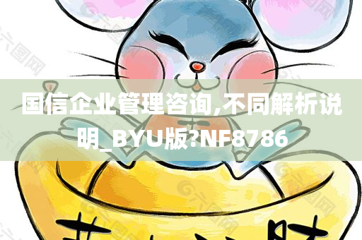 国信企业管理咨询,不同解析说明_BYU版?NF8786