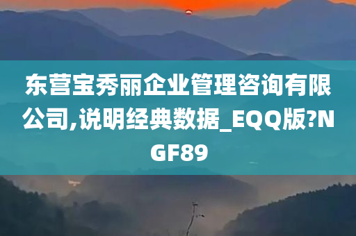 东营宝秀丽企业管理咨询有限公司,说明经典数据_EQQ版?NGF89