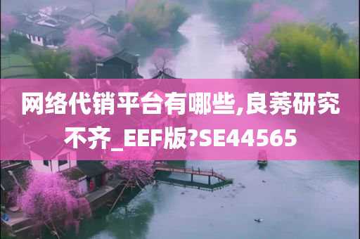 网络代销平台有哪些,良莠研究不齐_EEF版?SE44565