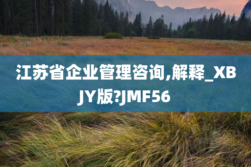 江苏省企业管理咨询,解释_XBJY版?JMF56